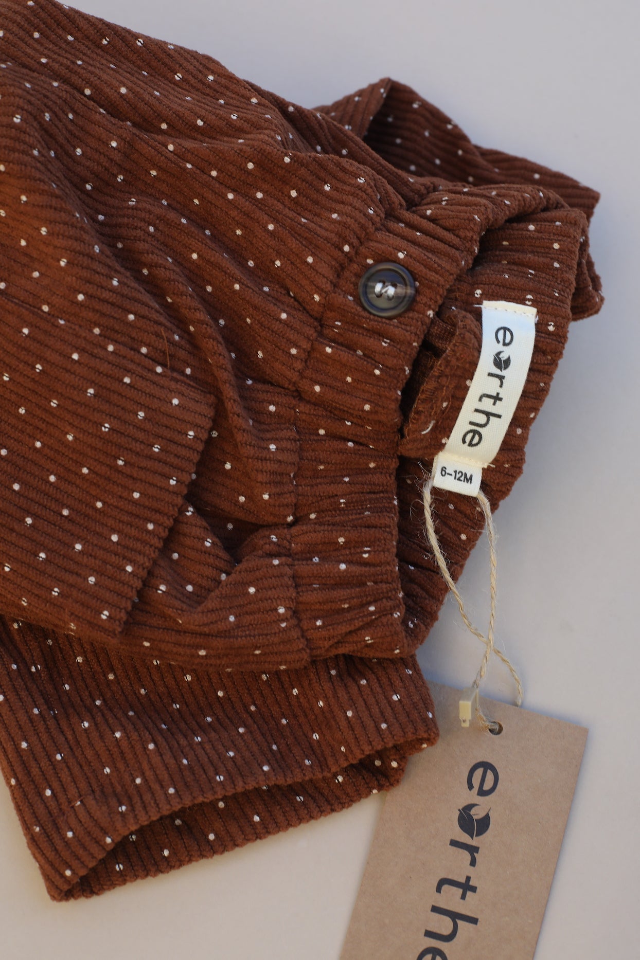 Relaxed Fit Corduroy Pants / Rust