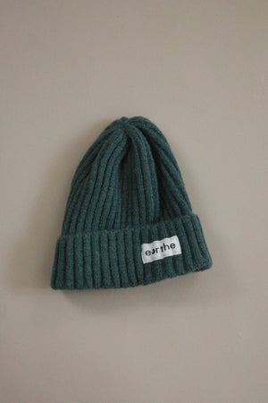 Chunky Knit Beanies